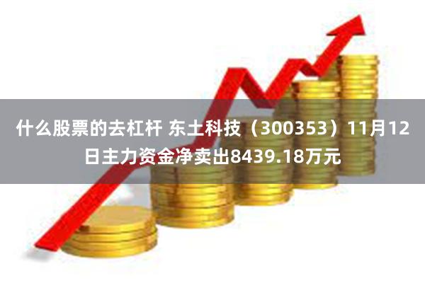 什么股票的去杠杆 东土科技（300353）11月12日主力资金净卖出8439.18万元