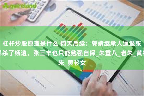 杠杆炒股原理是什么 倚天后续：郭靖继承人逼退张无忌杀了杨逍，张三丰也只能勉强自保_朱重八_老朱_黄衫女