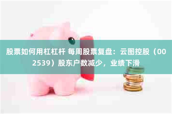 股票如何用杠杠杆 每周股票复盘：云图控股（002539）股东户数减少，业绩下滑
