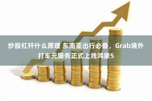 炒股杠杆什么原理 东南亚出行必备，Grab境外打车元服务正式上线鸿蒙5