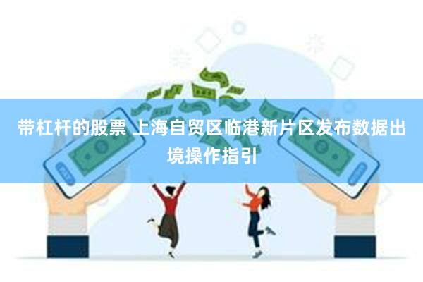 带杠杆的股票 上海自贸区临港新片区发布数据出境操作指引