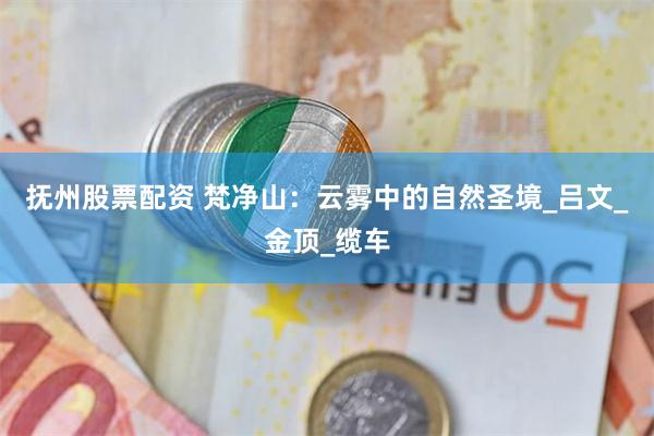 抚州股票配资 梵净山：云雾中的自然圣境_吕文_金顶_缆车