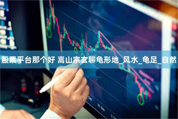 股票平台那个好 嵩山宗玄聊龟形地_风水_龟足_自然