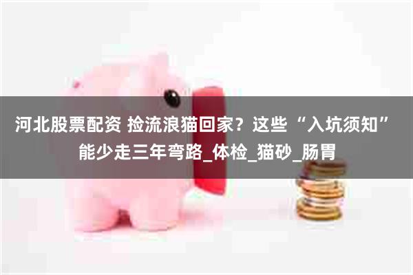 河北股票配资 捡流浪猫回家？这些 “入坑须知” 能少走三年弯路_体检_猫砂_肠胃