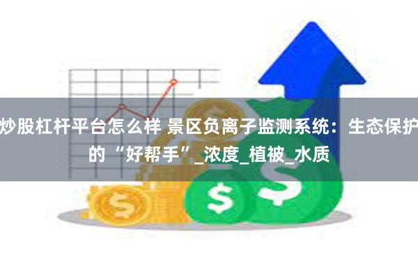 炒股杠杆平台怎么样 景区负离子监测系统：生态保护的 “好帮手”_浓度_植被_水质