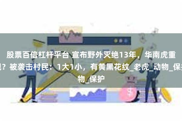 股票百倍杠杆平台 宣布野外灭绝13年，华南虎重现？被袭击村民：1大1小，有黄黑花纹_老虎_动物_保护